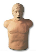 Manekin BRAD do nauki RKO Manekin BRAD do nauki RKO